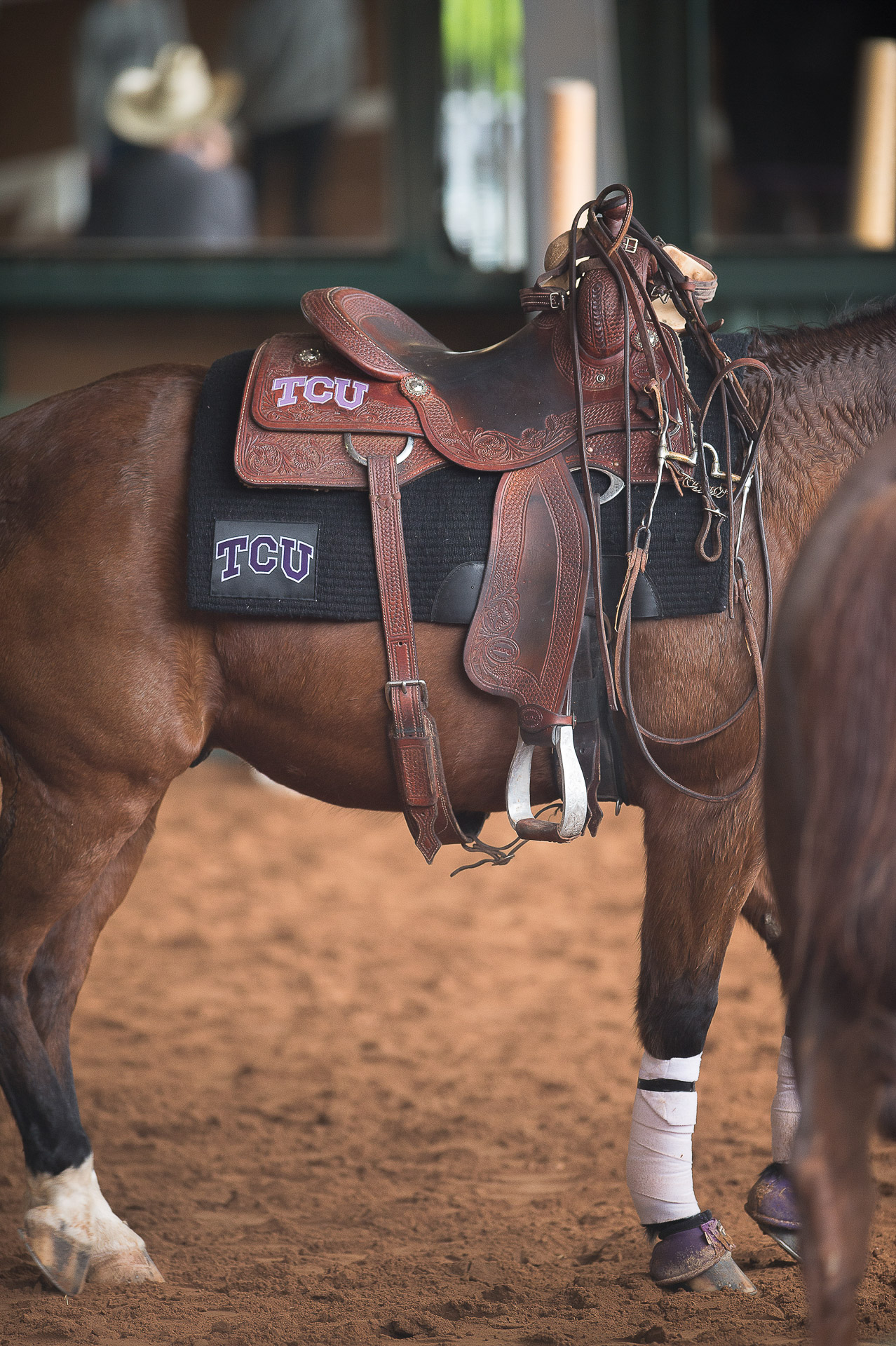 FALL17-Feature-Equestrian_Big12-championship-tack__GEE